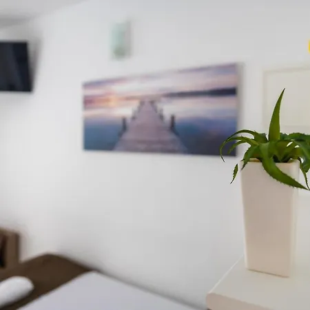 Apartman Luka Molat