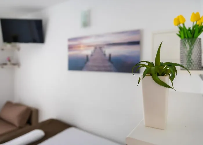 Apartman Luka Molat